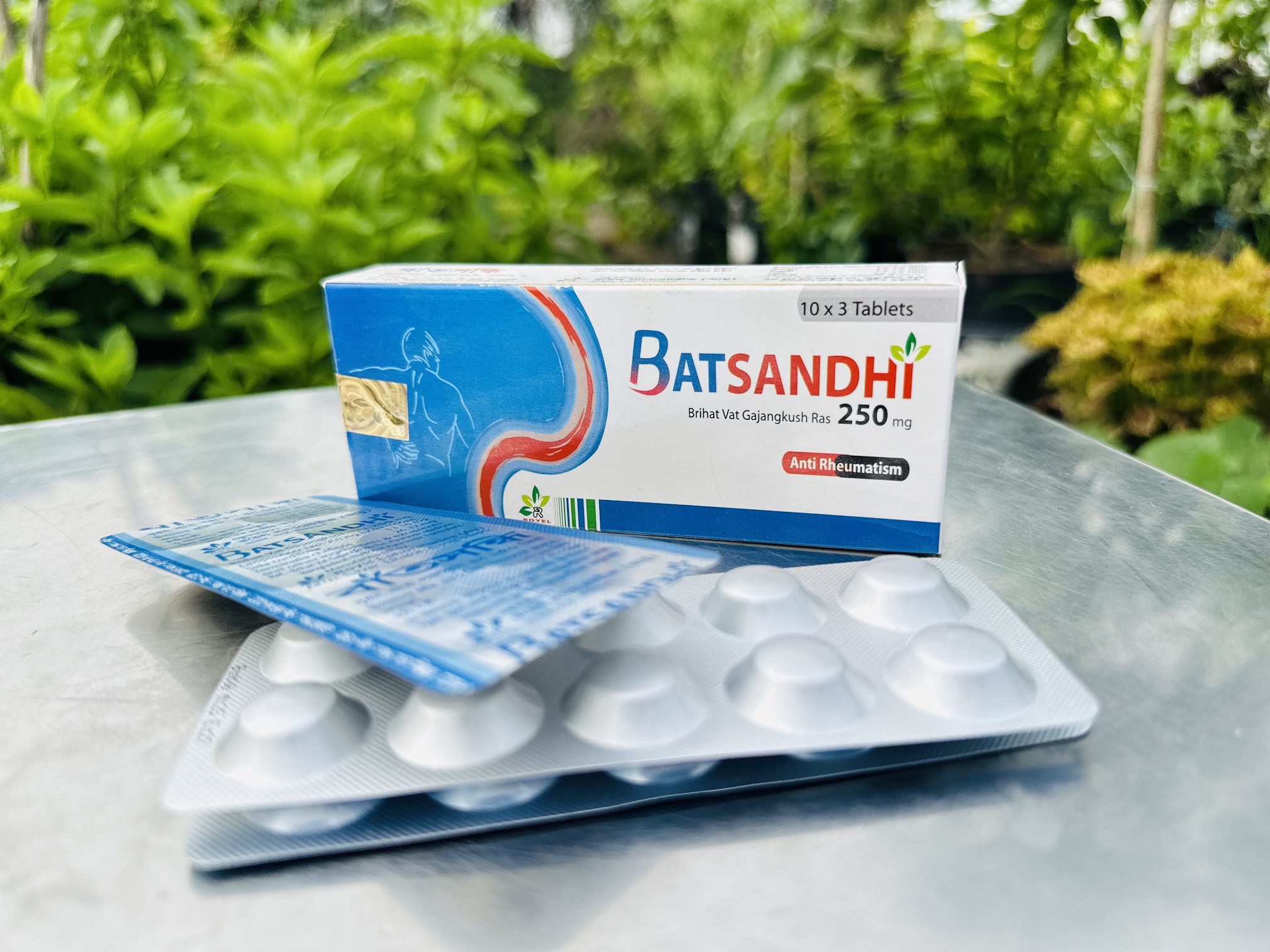Batshandhi